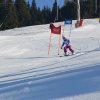 Rok 2017 - 4.kolo OLL 2017 - Krahulská ovečka